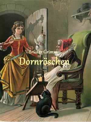Cover of the book Dornröschen by Jeremy Egbuche