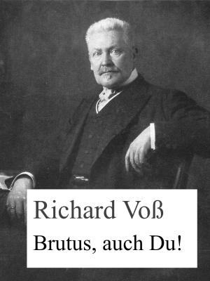 Cover of the book Brutus, auch Du! by Alexander Kronenheim
