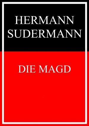 Book cover of Die Magd