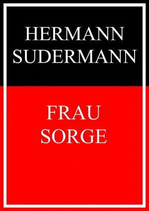 Book cover of Frau Sorge