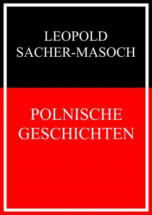 Cover of the book Polnische Geschichten by Petra Liermann