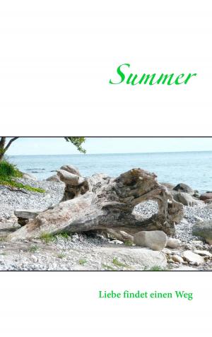 Cover of the book Summer by Ronnie Pruggmayer