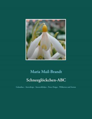 Cover of the book Schneeglöckchen-ABC by Mark Twain