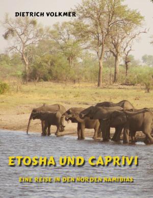 Cover of the book Etosha und Caprivi by Wolfgang M. Lehmer