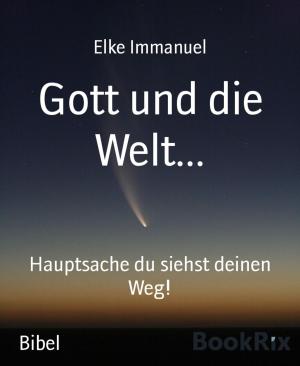 Cover of the book Gott und die Welt... by Vishavdeep Singh, Dr. Chandan Deep Singh, Kundan Singh
