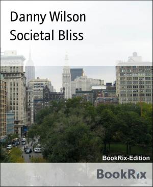 Book cover of Societal Bliss