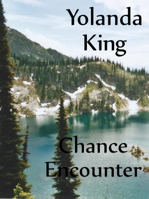 Cover of the book Chance Encounter by Sascha Schlüter, Karlheinz Bauer