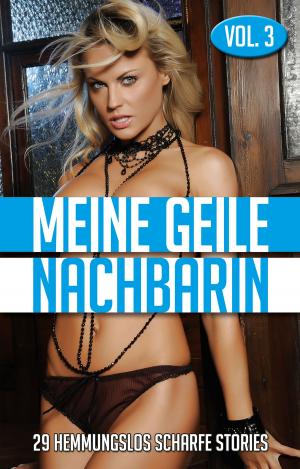 Book cover of Meine geile Nachbarin - Vol. 3