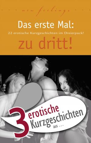 Book cover of 3 erotische Kurzgeschichten aus: "Das erste Mal: zu dritt!"