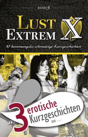 Book cover of 3 erotische Kurzgeschichten aus: "Lust Extrem 3: Gnadenlos ausgeliefert"