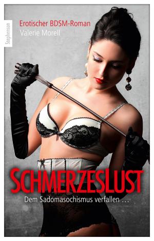 Cover of the book Schmerzeslust by Dave Vandenberg, Lisa Cohen, Marie Sonnenfeld