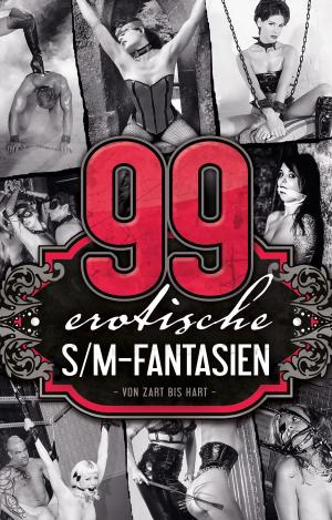 Book cover of 99 erotische S/M-Fantasien