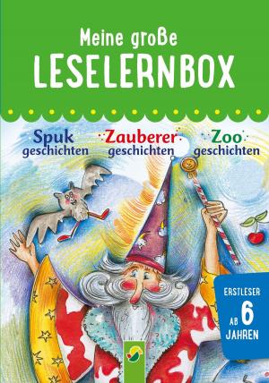 Book cover of Meine große Leselernbox: Spukgeschichten, Zauberergeschichten, Zoogeschichten