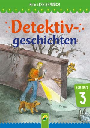 Cover of the book Detektivgeschichten by Brigitte Hoffmann, Lena Steinfeld