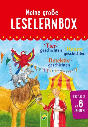 Book cover of Meine große Leselernbox: Tiergeschichten, Hexengeschichten, Detektivgeschichten