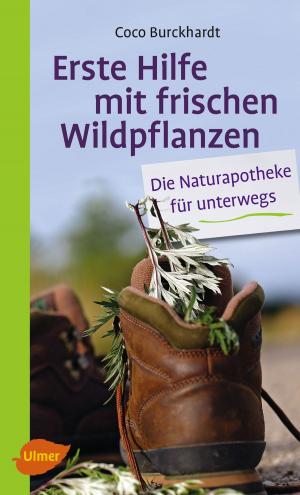 Cover of Erste Hilfe mit frischen Wildpflanzen
