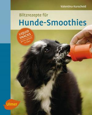 Cover of the book Blitzrezepte für Hunde-Smoothies by Klaus Hagmann, Birgit Essich