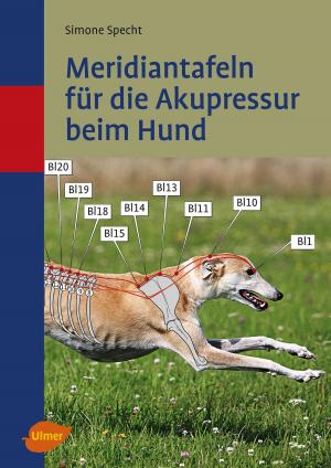 Cover of Meridiantafeln für die Akupressur beim Hund