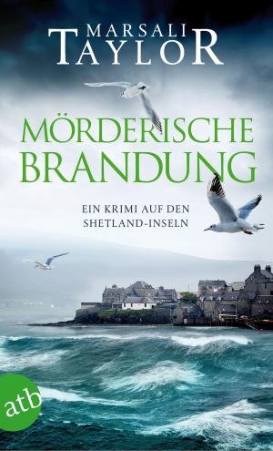Book cover of Mörderische Brandung
