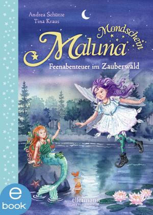 Cover of the book Maluna Mondschein - Feenabenteuer im Zauberwald by Petra Maria Schmitt, Christian Dreller