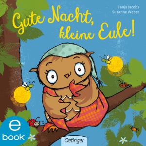 Book cover of Gute Nacht, kleine Eule!