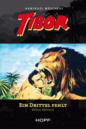Cover of the book Tibor 2: Ein Drittel fehlt by Andreas Zwengel