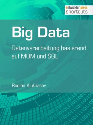 Cover of the book Big Data by Florian Pirchner, Tobias Bayer, Benno Luthiger