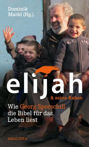 Book cover of Elijah & seine Raben