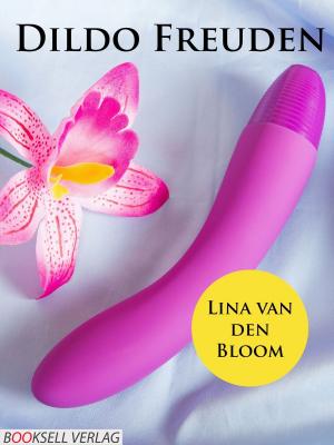 bigCover of the book Dildo Freuden by 