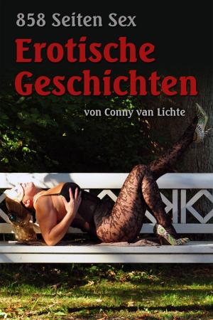 Cover of 858 Seiten Sex