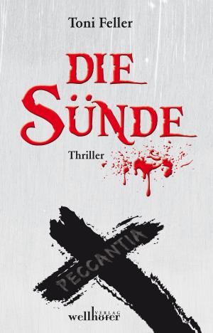 Cover of the book Die Sünde: Peccantia. Kirchenthriller by Stefan Dettlinger