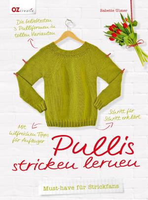 Cover of the book Pullis stricken lernen by Gerlinde Auenhammer, Marion Dawidowski, Angelika Kipp