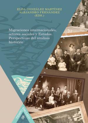Cover of the book Migraciones internacionales, actores sociales y Estados Perspectivas del análisis histórico by Araceli Iravedra