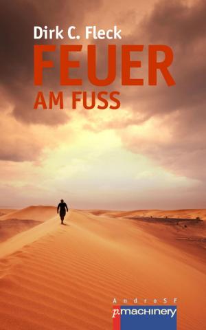 Book cover of Feuer am Fuß