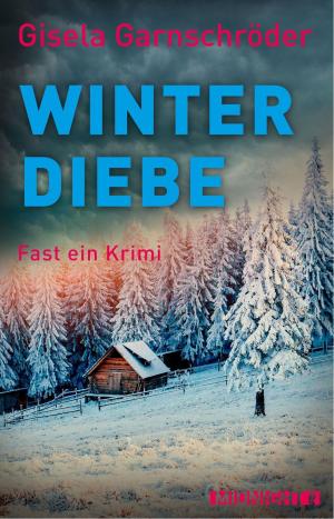 Cover of the book Winterdiebe by Laura Pauling