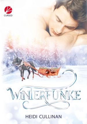 Cover of the book Winterfunke by Raik Thorstad