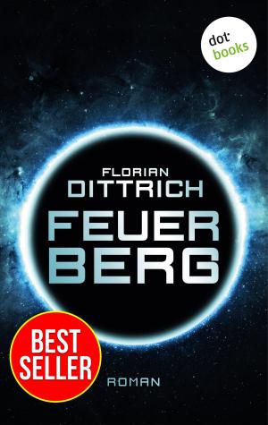 Cover of the book Feuerberg - Thriller by Roland Mueller