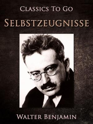 Cover of the book Selbstzeugnisse by James H. Schmitz