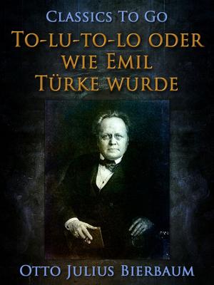 Cover of the book To-lu-to-lo oder Wie Emil Türke wurde by Ernest J. B. Kirtlan