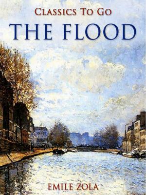 bigCover of the book The Flood by 