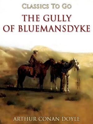 Cover of the book The Gully of Bluemansdyke by Aravind Adiga