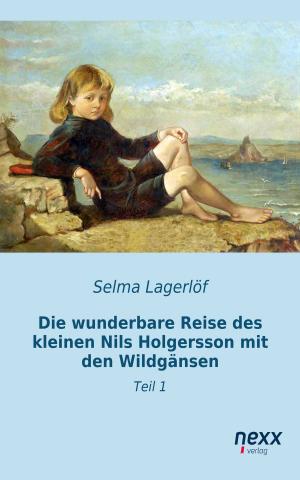 Cover of Die wunderbare Reise des kleinen Nils Holgersson mit den Wildgänsen