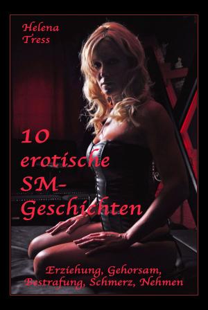 Cover of 10 erotische SM-Geschichten