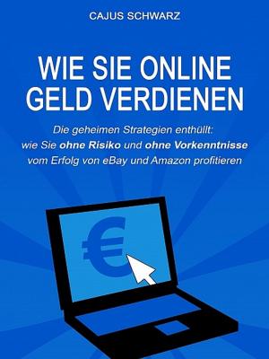 Cover of the book Wie Sie online Geld verdienen by Darren Cox