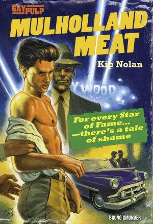 Cover of the book Mulholland Meat by Joe Berti