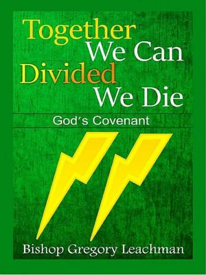 Cover of the book Together We Can Divided We Die by Rebecca Livermore