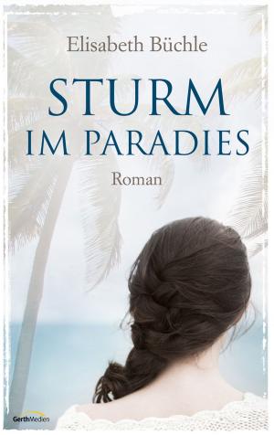 Cover of the book Sturm im Paradies by Mickey Robinson