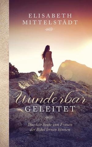 Cover of the book Wunderbar geleitet by Rachel Held Evans