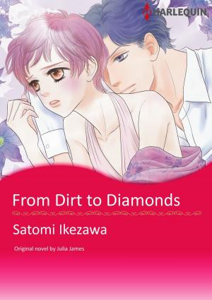Cover of the book FROM DIRT TO DIAMONDS by Christine Rimmer