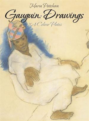 Book cover of Gauguin: Drawings 104 Colour Plates